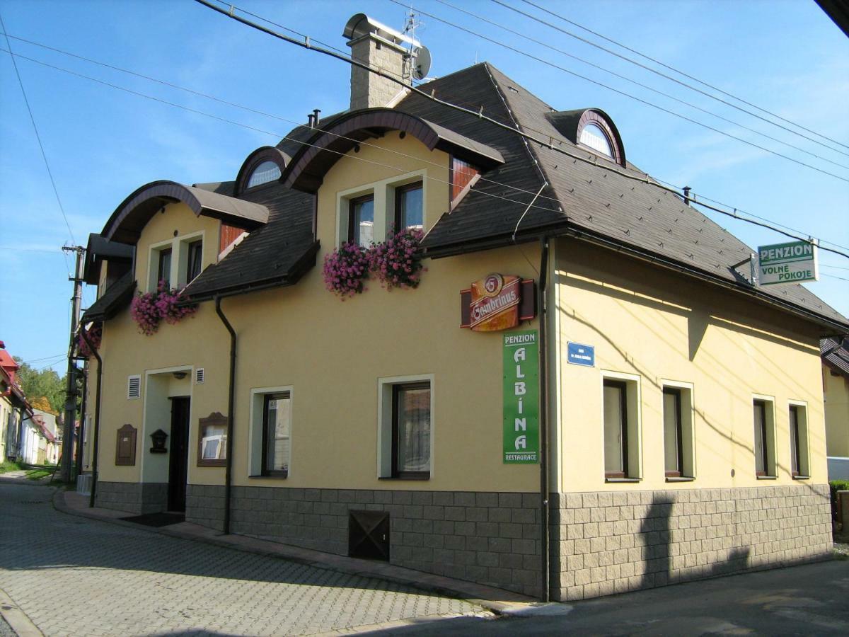 Penzion Albina - Restaurace Vysoke nad Jizerou Ngoại thất bức ảnh